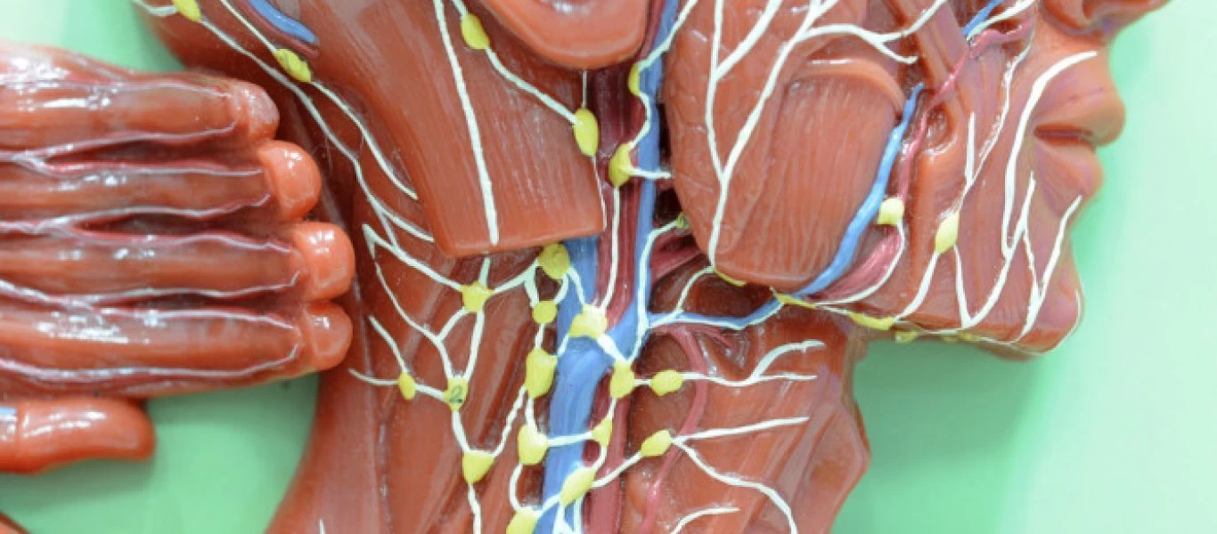 Πώς να προλάβετε το λέμφωμα - Τα 7 βήματα αποτοξίνωσης